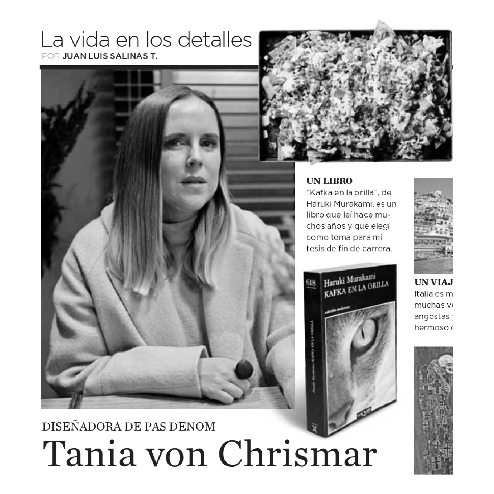 LA VIDA EN LOS DETALLES